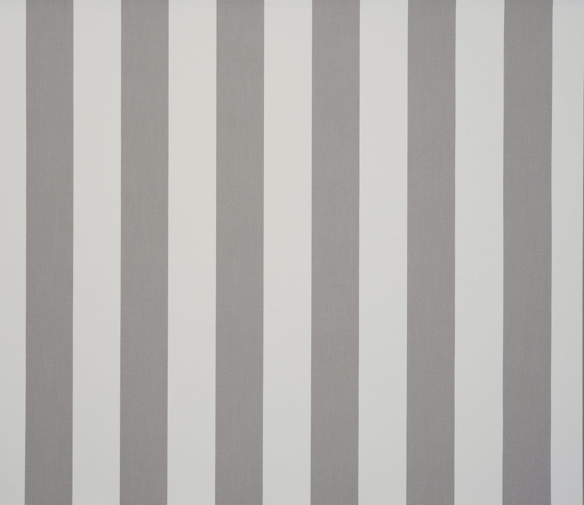 Orchestra Bs Gris - Blanc